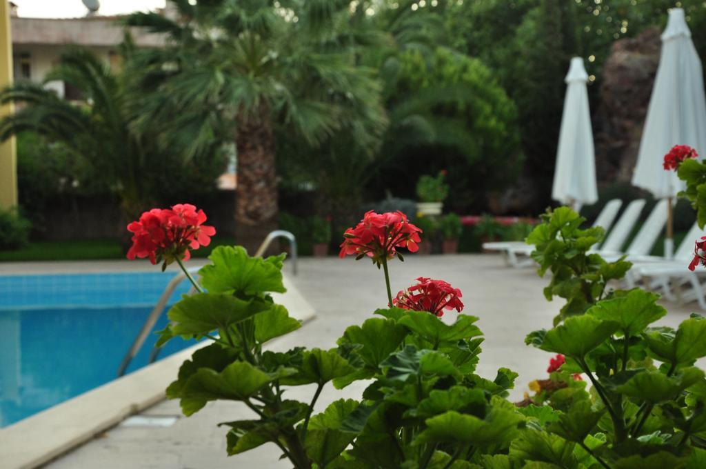 Palm Court Suites Ayvalı Eksteriør billede