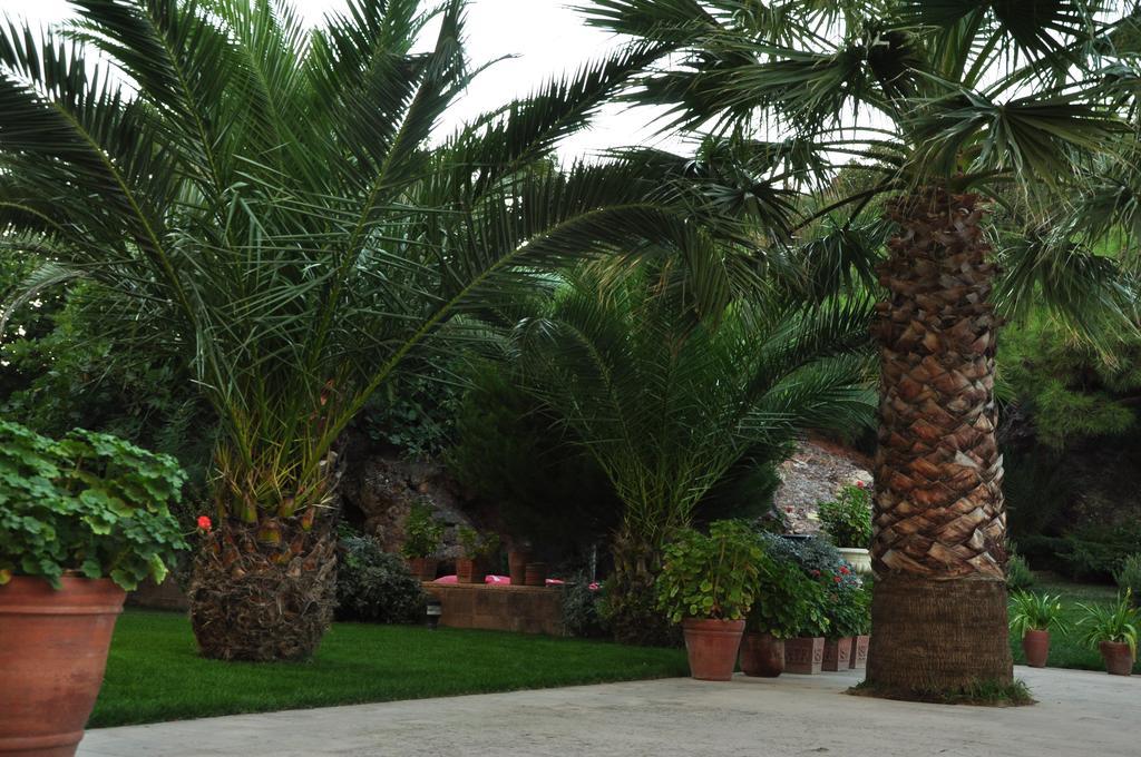 Palm Court Suites Ayvalı Eksteriør billede