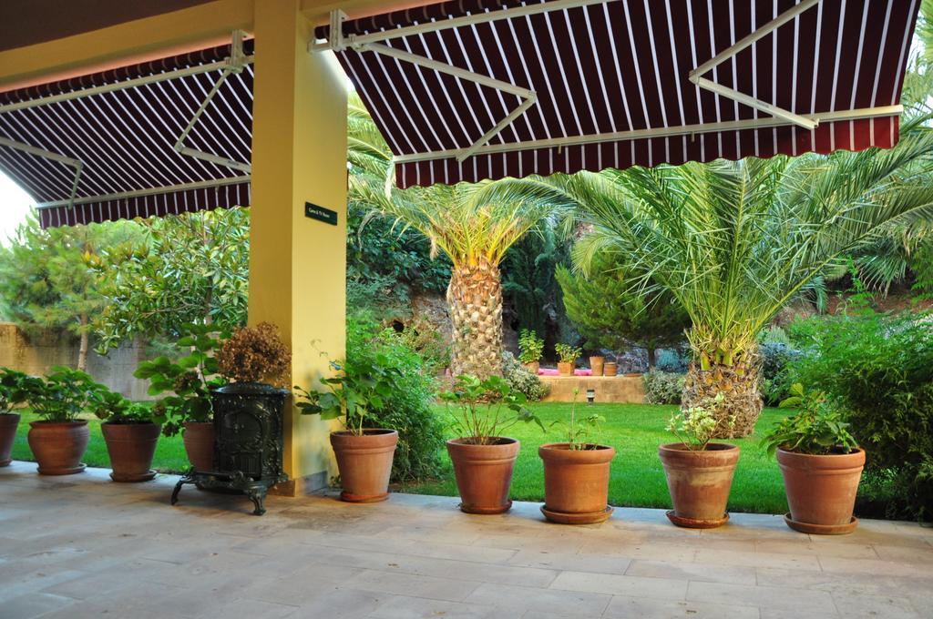 Palm Court Suites Ayvalı Eksteriør billede