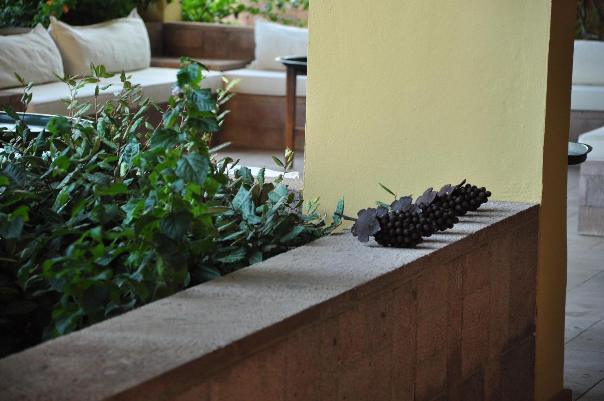 Palm Court Suites Ayvalı Eksteriør billede