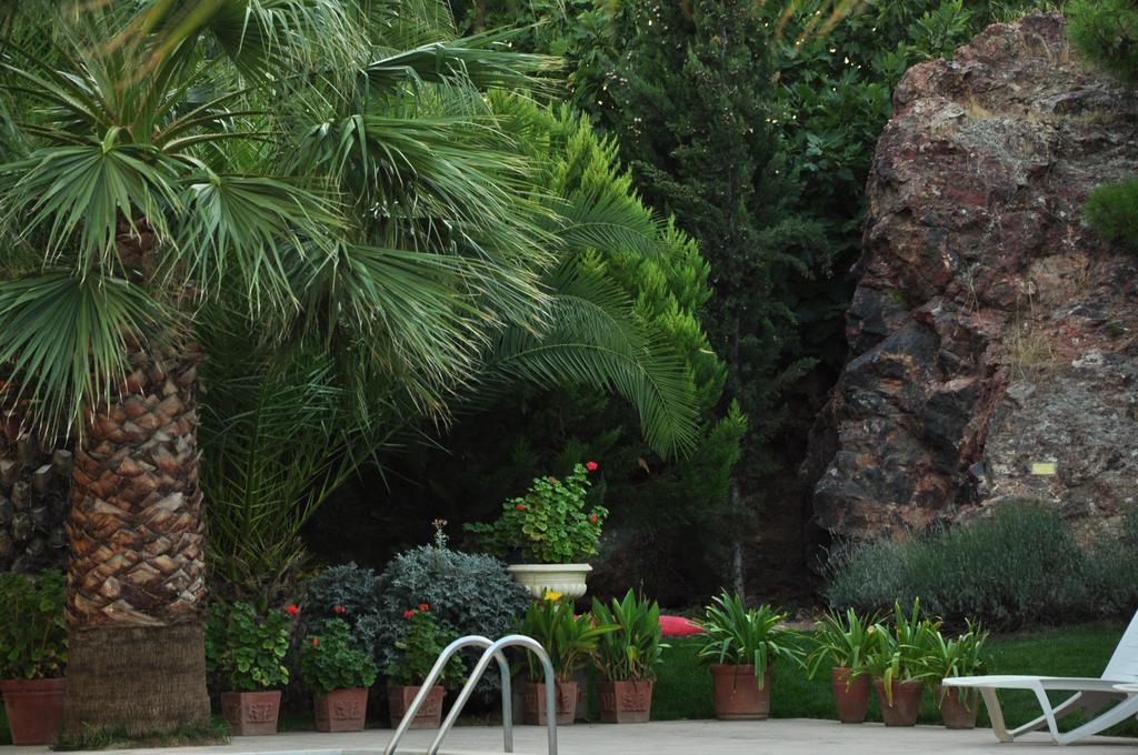 Palm Court Suites Ayvalı Eksteriør billede
