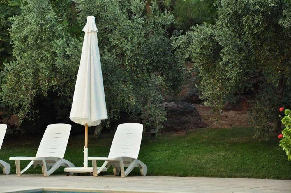 Palm Court Suites Ayvalı Eksteriør billede